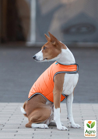 Куртка-накидка для собак AiryVest, M, B 52-62 см, З 37-46 см помаранчевий (15434) - фото 2