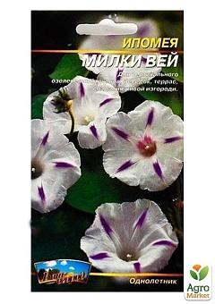 Ипомея "Милки Вей" ТМ "Весна" 0.5г22