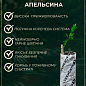 Апельсин "Вашингтон Навела" купить