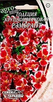 Годеция крупноцветковая "РЭМБРАНТ"  ТМ "Семена Украины" 0.3г6