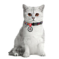 Ошейник для кошек нейлоновый WAUDOG Nylon с QR паспортом, рисунок "Витраж", пластиковый фастекс, Ш 10 мм, Длина 20-30 см (5265) купить