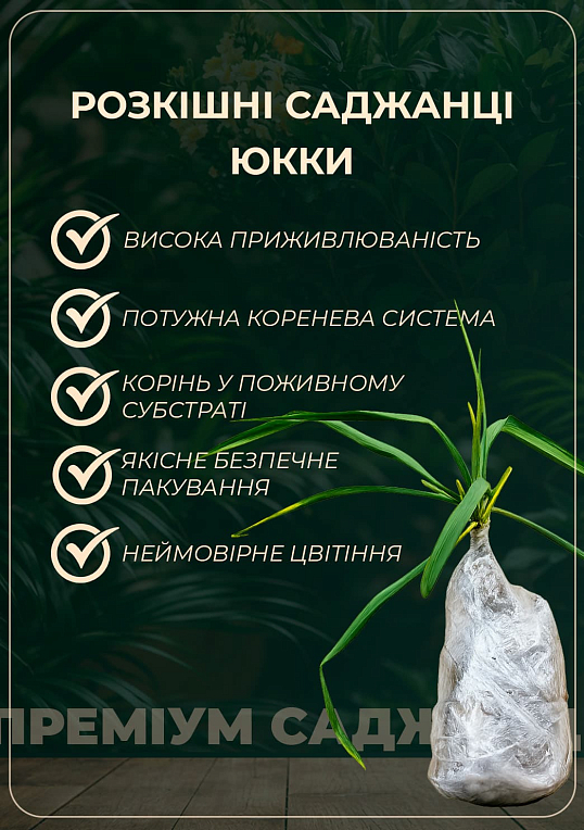 Юкка Повислая - фото 3