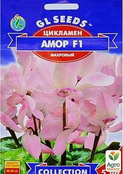 Цикламен "Амор F1" ТМ "GL Seeds" 5шт2