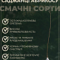 Абрикос "Пинкот" (летний сорт, ранний срок созревания) купить