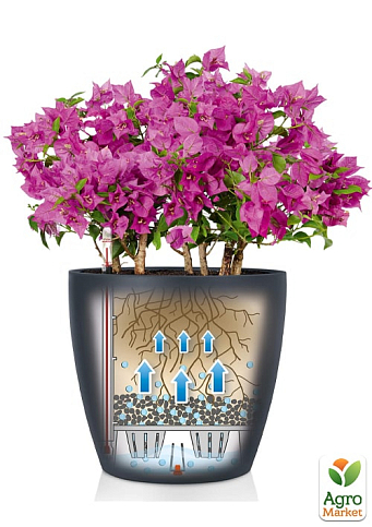 Розумний вазон з автополивом Lechuza Classico Color 18, сірий (13263) - фото 3