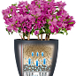 Розумний вазон з автополивом Lechuza Classico Color 18, сірий (13263) цена