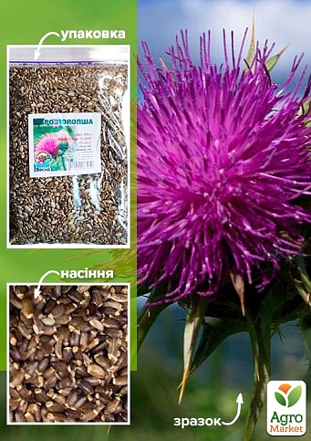 Расторопша ТМ "Весна" 500г