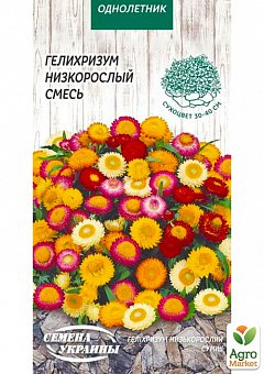 Гелихризум низкорослая смесь ТМ "Семена Украины" 0.2г2