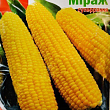 Кукуруза "Мираж" ТМ "Яскрава" 20г