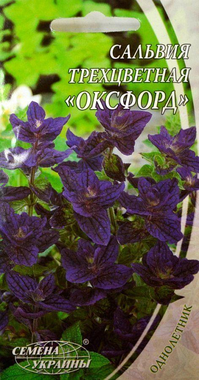 Сальвия трехцветная "Оксфорд" ТМ "Семена Украины" 0.3г