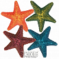 Trixie Грот Морська зірка Декор для акваріума, 9 см (8866190)