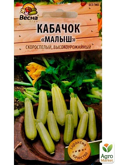 Кабачок "Малыш" (Новый пакет)  ТМ "Весна" 2г26