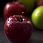 Ексклюзив! Яблуня червоно-чорна "Сад любові" (Garden of love) (преміальний великоплідний сорт)
