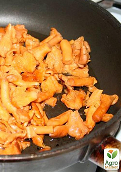 Мицелий на дубовых брусочках "Вешенка лимонная-желтая" 10шт10