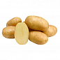 Картопля "Раномі" насіннєва рання (1 репродукція) 5кг купить