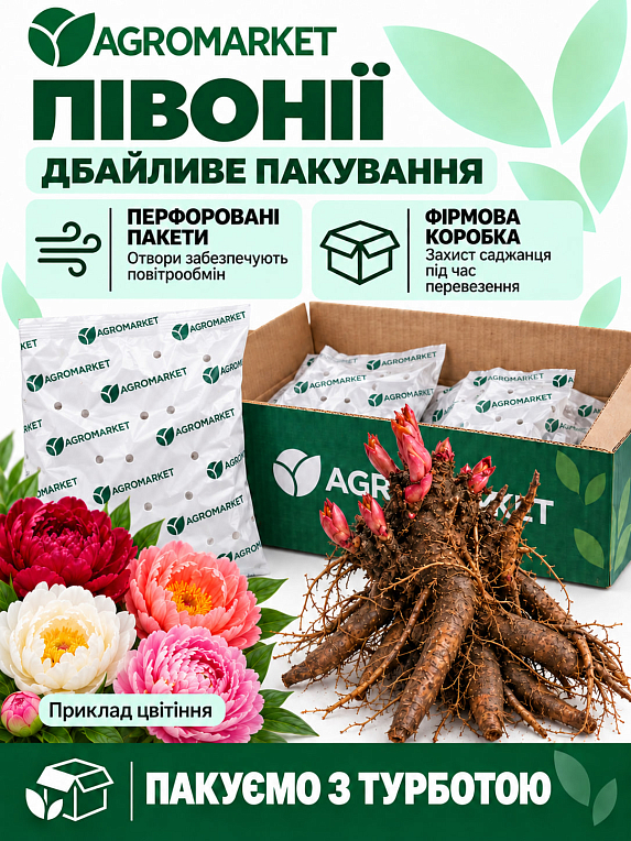Пион травянистый "Pink Supreme" 1шт в упаковке
