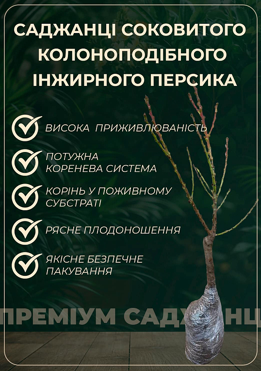 Персик колоноподібний "Інжирний" (суперсолодкий сорт, середній термін дозрівання)
