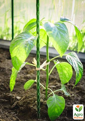 Композитна опора для рослин LIVEgreen d-8 мм h-60 см - фото 2