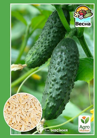 Огірок "Конкурент" ТМ "Весна" 0.5г