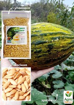 Дыня "Аликанте" ТМ "Весна" 100г28