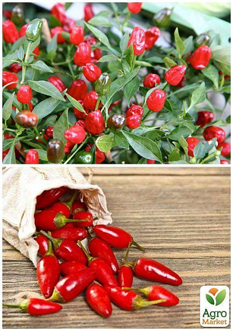 На вагу Перець гострий "Вогник" ТМ "Весна" ціна за 2г - фото 2