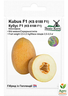 Дыня "Кубус F1" ТМ "Beste Kern" 10шт14