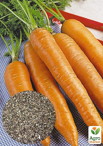 На развес Морковь "Детская сладкая" ТМ "Весна" цена за 10г