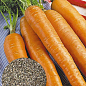На развес Морковь "Детская сладкая" ТМ "Весна" цена за 10г