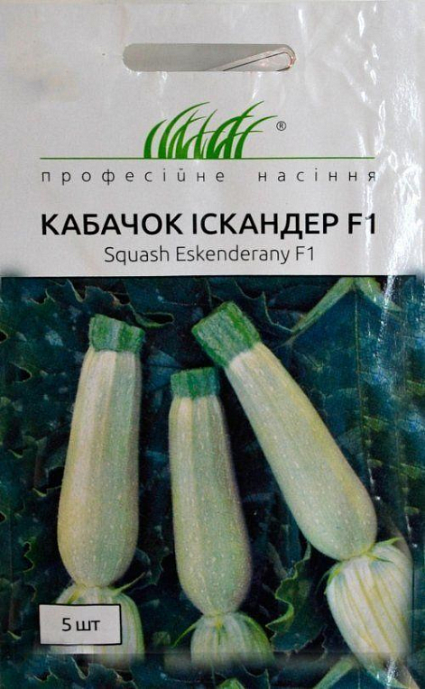 Кабачок "Іскандер F1" ТМ "Hem Zaden" 5шт