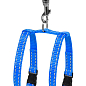 Шлейка "Dog Extremе"" з нейлону регульована з повідцем для морських свинок, декор.крис (ширина 10мм, В:12-22см) блакитний купить