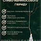 Слива-абрикос колоновидна "Апріум" купить