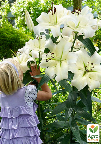 Лілія Гігант "Pretty Woman"