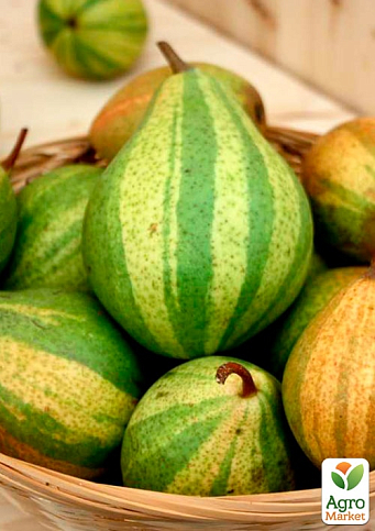 Азіатська груша "Писанка" (смугаста, солодкий з пряними нотками сорт) - фото 2