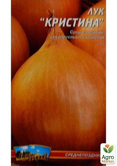Лук "Кристина" ТМ "Весна" 2г2