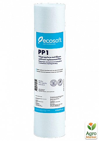 Ecosoft CPV25101Eco картридж
