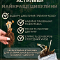 Астильба китайская "Purpurlanze"  купить