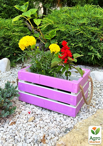 Ящик декоративный деревянный для хранения и цветов "Бланш" д. 25см, ш. 17см, в. 13см. (лиловый с ручками) - фото 3