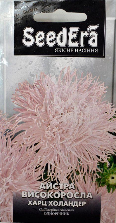 Астра "Харц Холандер" ТМ "SeedEra" 0.25г