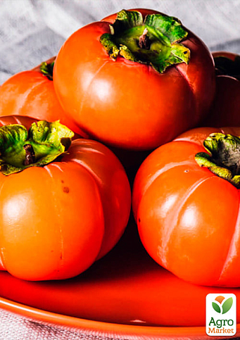 Хурма на віргінській морозостійкій підщепі "Божий дар" вищий сорт! - фото 7