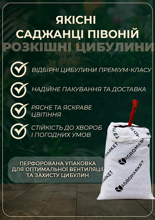 Пион травянистый "Жемчужина Урала" 1шт в упаковке
