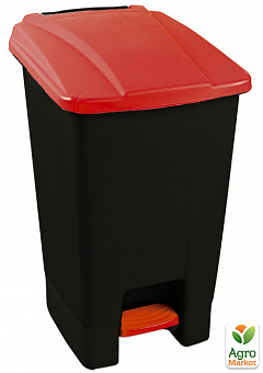 Бак для мусора с педалью Planet 70 л черный - красный (10797)1