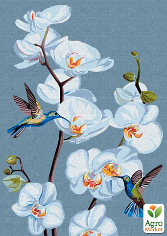 Картина по номерам - Цветущие орхидеи  Идейка KHO3241