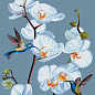 Картина по номерам - Цветущие орхидеи  Идейка KHO3241