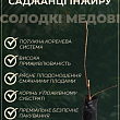 Інжир "Муасон чорний кримський" купить