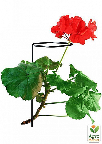 Опора для рослин ТМ "ORANGERIE" тип AC (зелений колір, висота 450 мм, кільце 3 мм) - фото 2