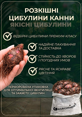 Канна "Black Knight" 1шт в упаковке - фото 4