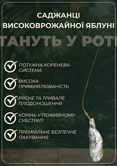 Яблоня "Донешта" (летний сорт, ранний срок созревания)9
