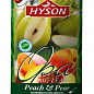 Чай зелений (Персик/груша) ТМ "Хайсон" 100г упаковка 24шт купить