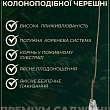 Черешня колоновидна "Ревна" купить