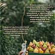 Груша "Бере Гарді" (осінній сорт, середній термін дозрівання) цена